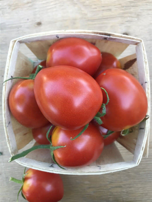 Forme de Couer Tomato - Annapolis Seeds