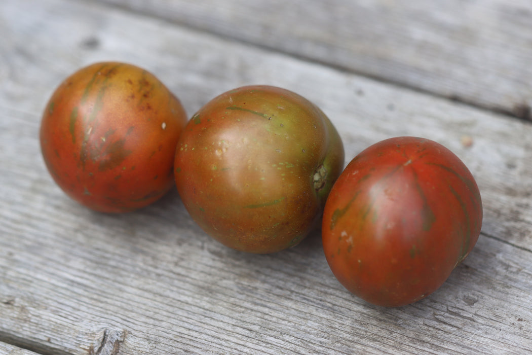 Guernsey Island Tomato