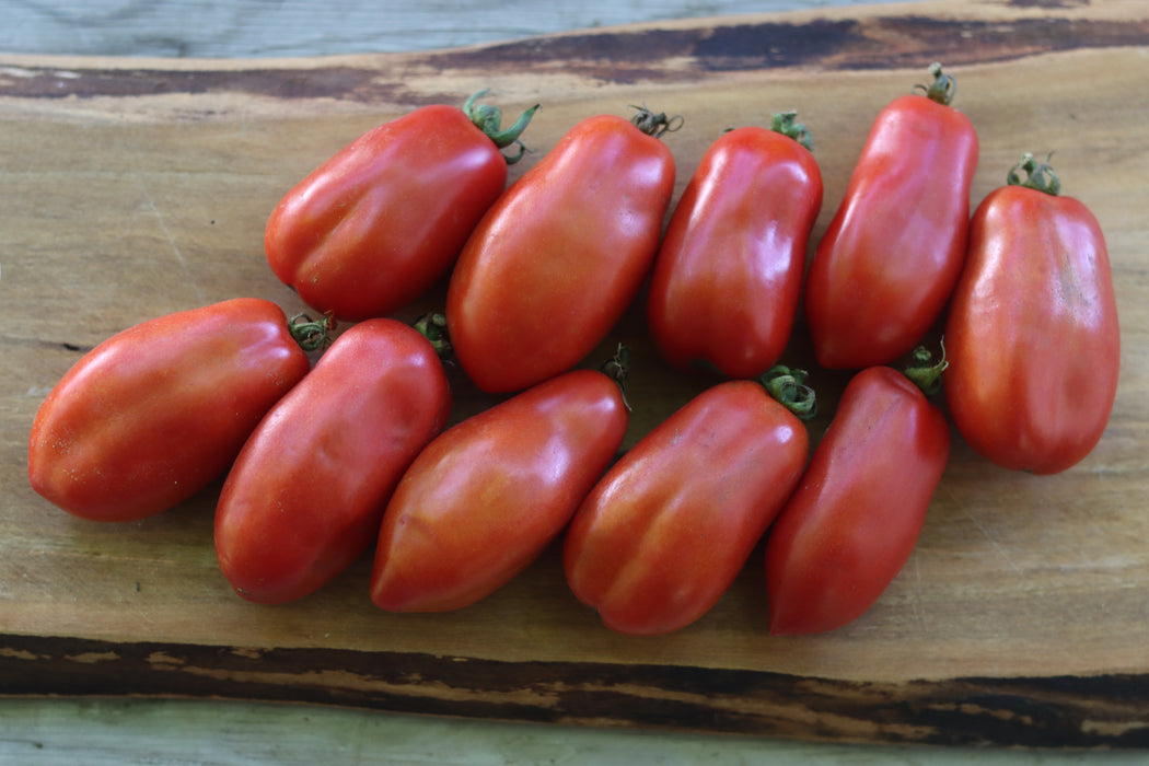 Ten Fingers of Naples Tomato