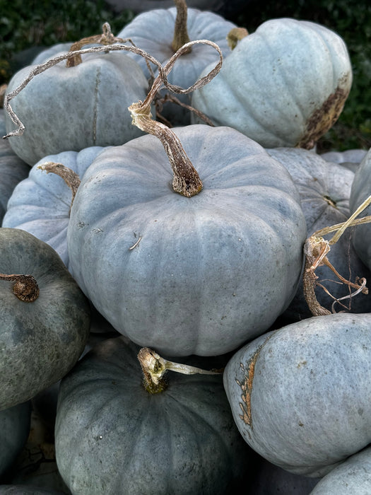 Crown Pumpkin