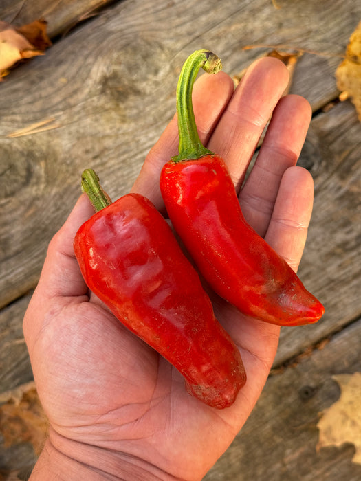 Espelette Hot Pepper