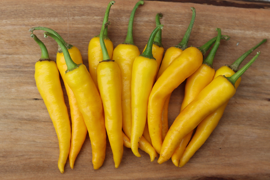 Ho Chi Minh Golden Cayenne Pepper