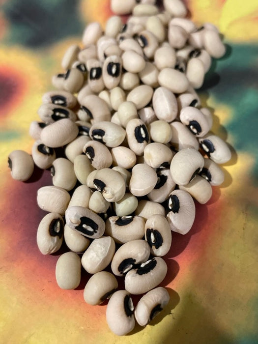 Fish Eye Black Eyed Pea