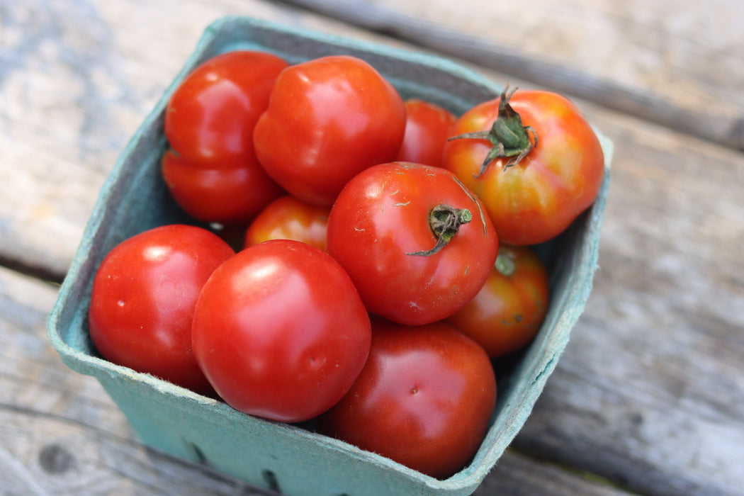 Katia's Bulgarian Tomato