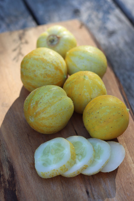 Lemon Cucumber