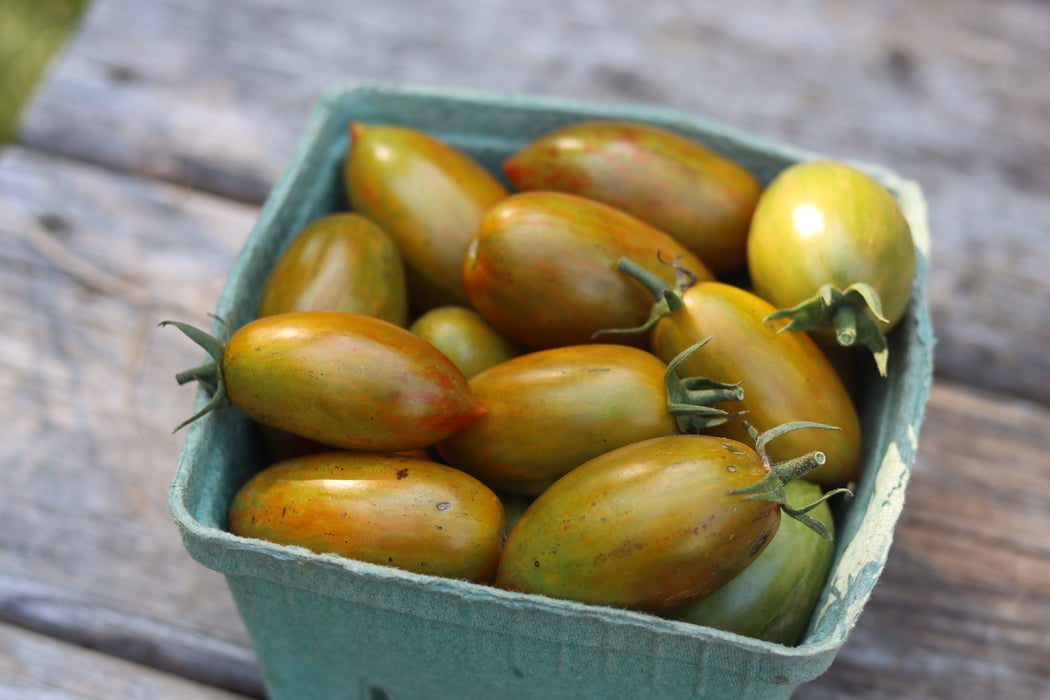 Lucky Tiger Tomato