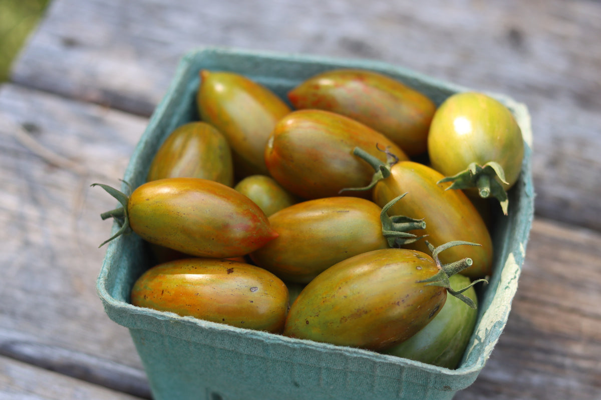 tiger lily tomatoes Lucky Tiger Tomato — Annapolis Seeds