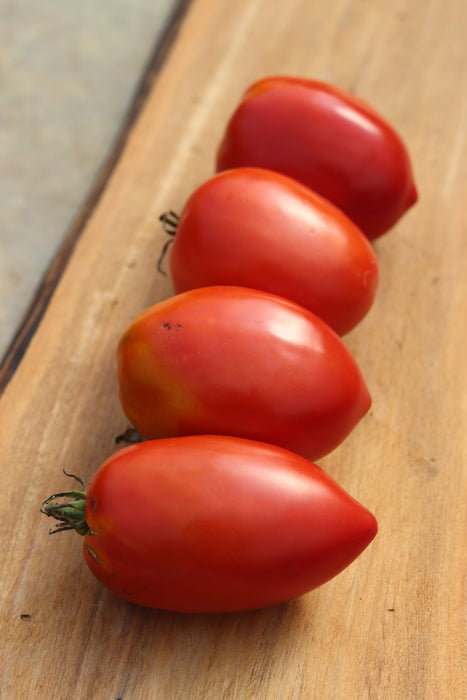 Mama Leone's Tomato