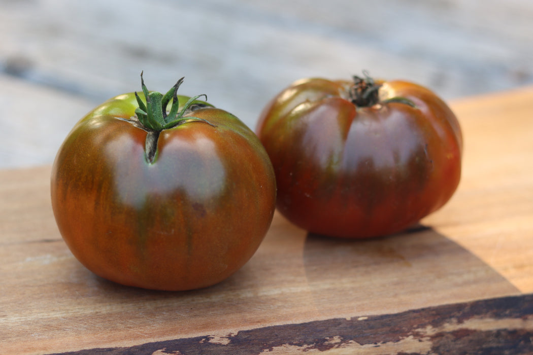 Paul Robeson Tomato