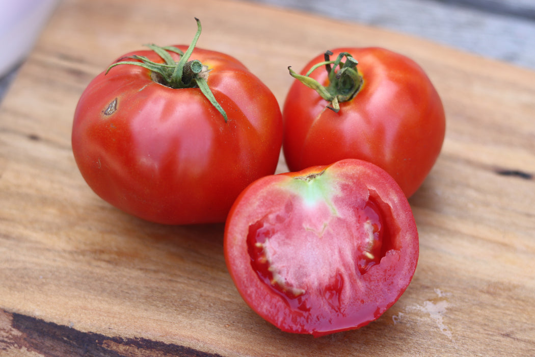 Quinte Tomato