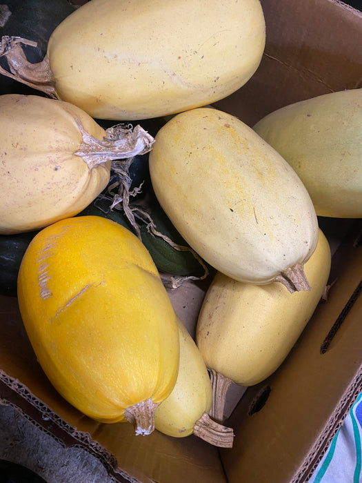 Spaghetti Squash