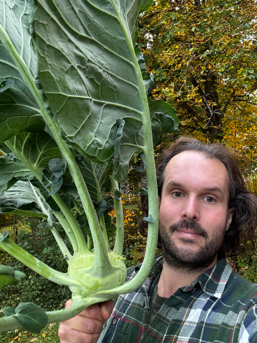 Superschmeltz Kohlrabi