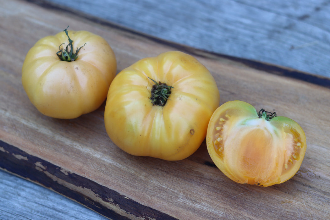 Tanager Dwarf Tomato