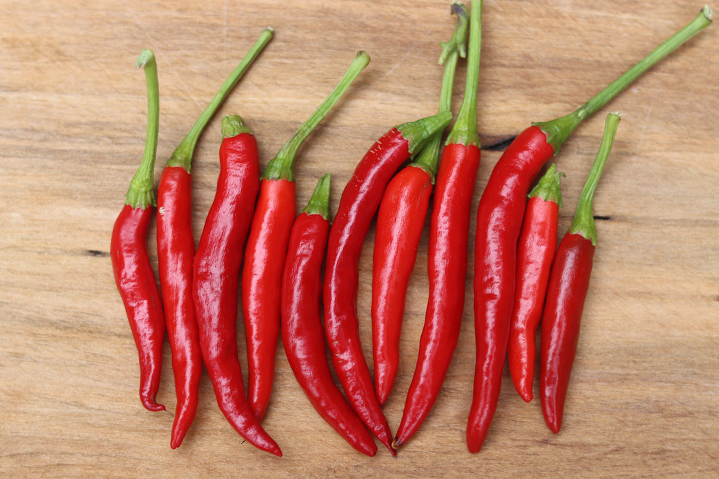 Thai Dragon Hot Pepper