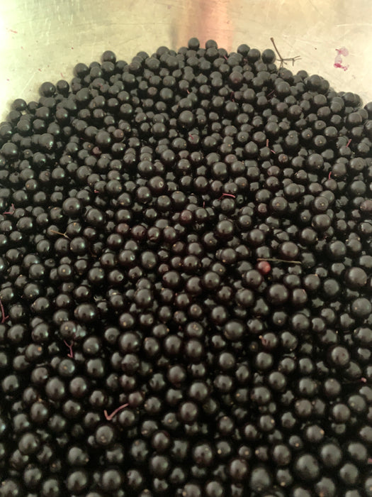 Black Elderberry Mix