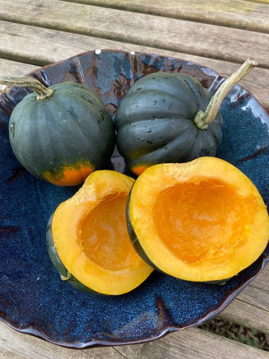 Sweet Reba Acorn Squash