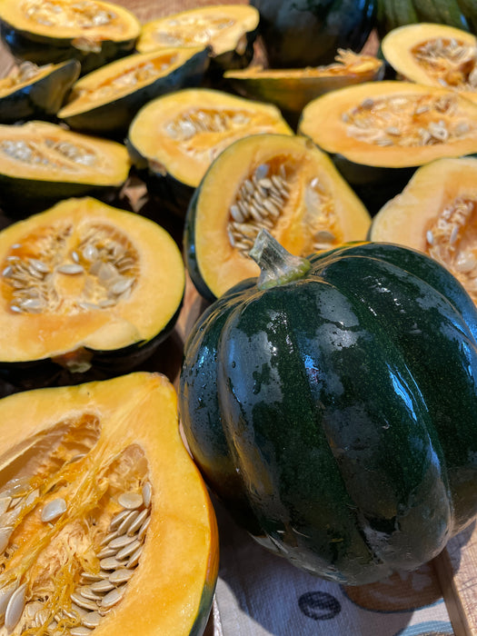 Sweet Reba Acorn Squash