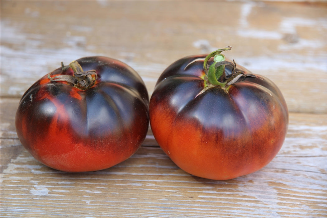 OSU Blue Tomato Seeds - Grown in Nova Scotia — Annapolis Seeds