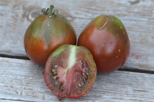 Japanese Black Trifele Tomato - Annapolis Seeds - Nova Scotia Canada