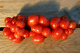Reisetomate Tomato - Annapolis Seeds - Nova Scotia Canada