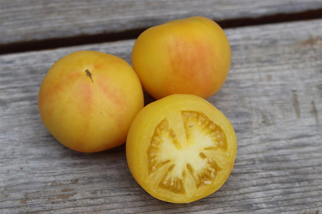 Garden Peach Tomato - Annapolis Seeds - Nova Scotia Canada