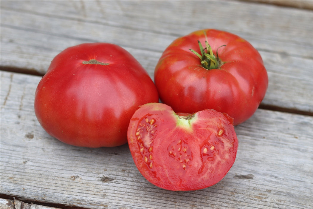 Silvery Fir Tomato