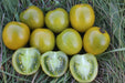 Green Grape Tomato - Annapolis Seeds