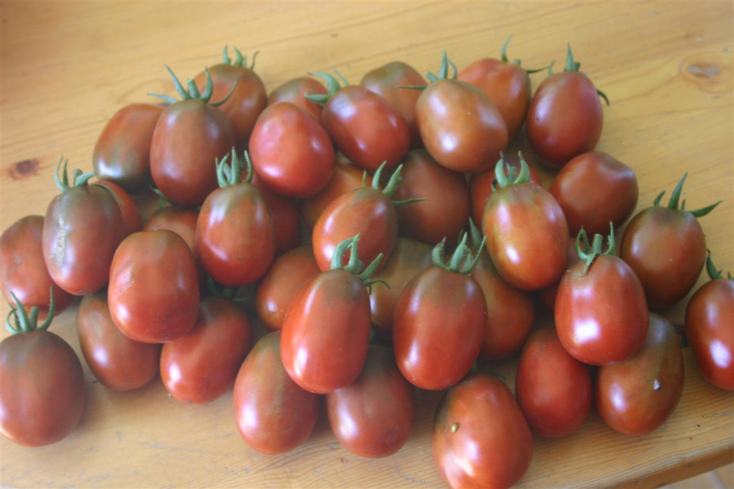 Black Plum Tomato - Annapolis Seeds