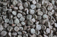 Ethiopian Lentil - Annapolis Seeds