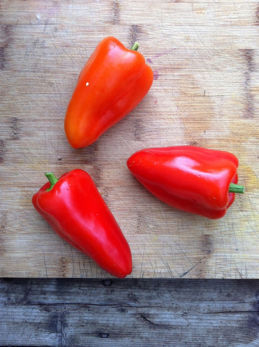 Sweet Apple Pepper - Annapolis Seeds