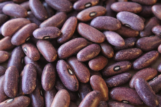 Mrociumere Bean - Annapolis Seeds