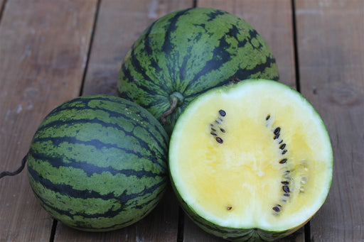 Early Moonbeam Watermelon - Annapolis Seeds