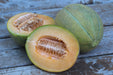 Sweet Granite Melon - Annapolis Seeds