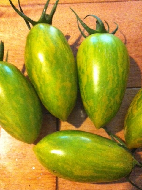 Green Tiger Tomato - Annapolis Seeds