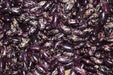 Kabarika Bean - Annapolis Seeds