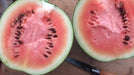 Sugar Baby Watermelon - Annapolis Seeds