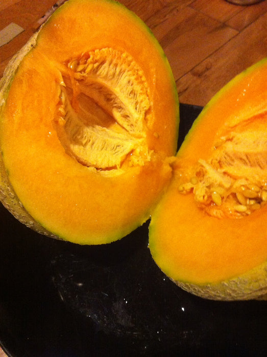 Oka Melon - Annapolis Seeds