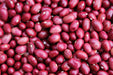 Low's Champion Bean - Annapolis Seeds