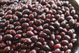 True Red Cranberry Bean - Annapolis Seeds