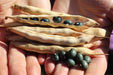 Fort Portal Jade Bean - Annapolis Seeds