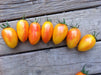 Blush Tomato - Annapolis Seeds