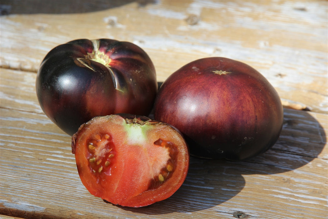 Black Beauty Tomato - Annapolis Seeds - Nova Scotia Canada