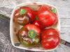 Sweet Pimento Pepper - Annapolis Seeds
