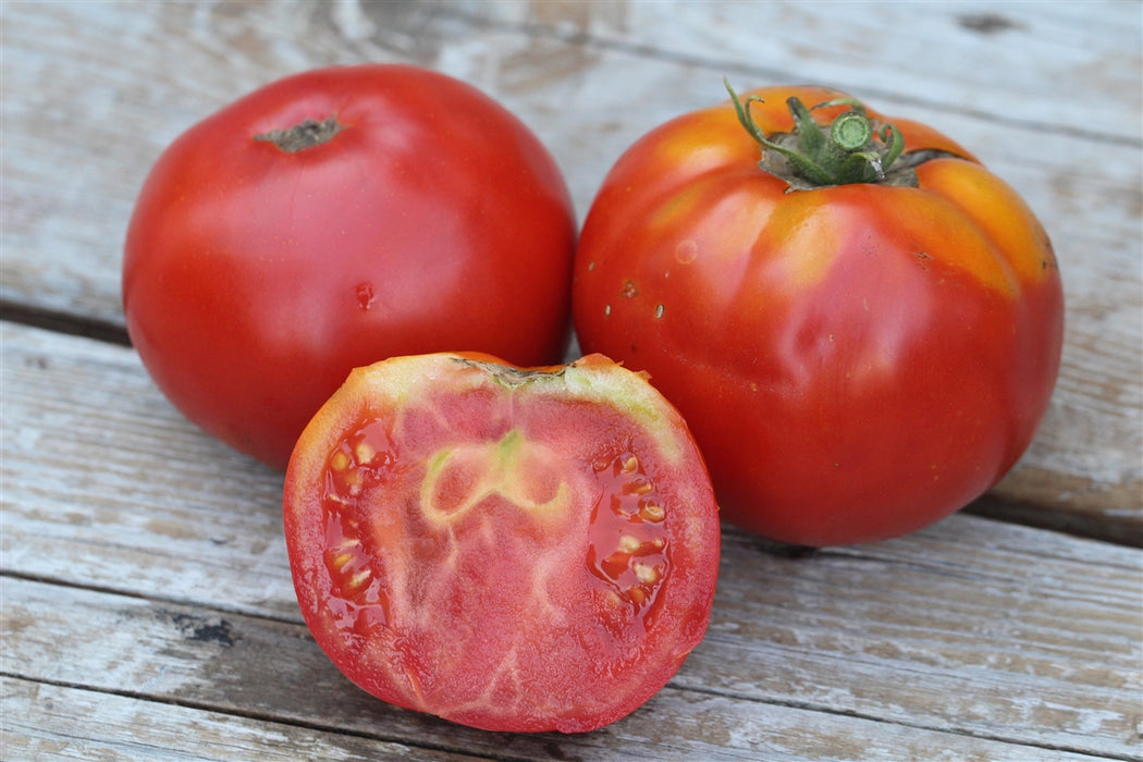 Cosmonaut Volkov Tomato - Annapolis Seeds