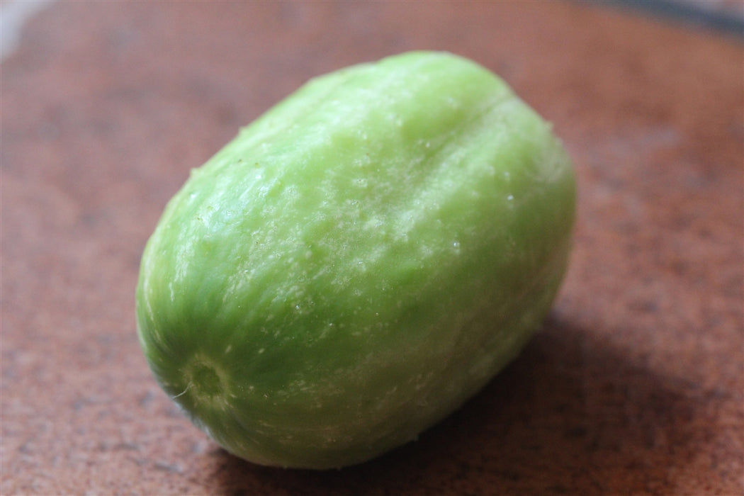 Green Apple Cucumber - Annapolis Seeds