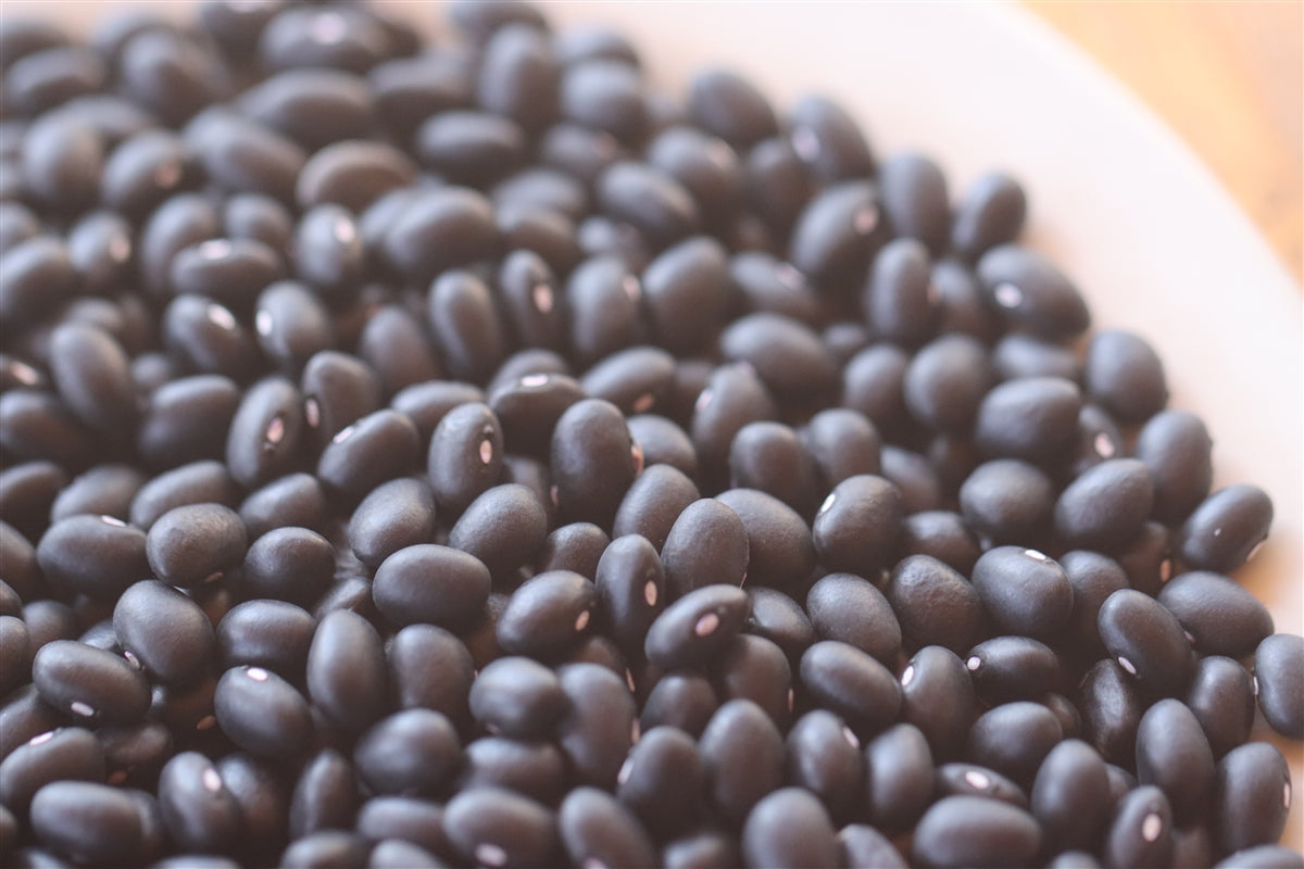 Eclipse Black Turtle Bean Seeds - Grown in Nova Scotia Canada ...