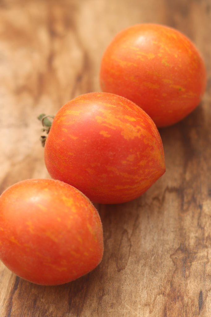 Fuzzy Wuzzy Tomato — Annapolis Seeds