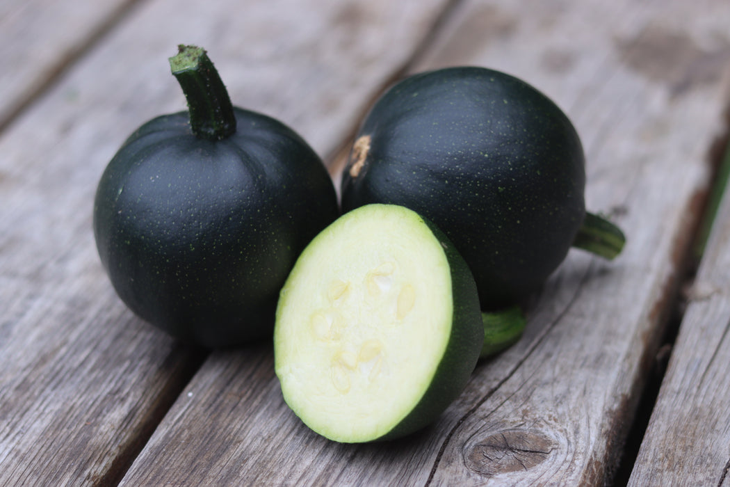 Gem Squash