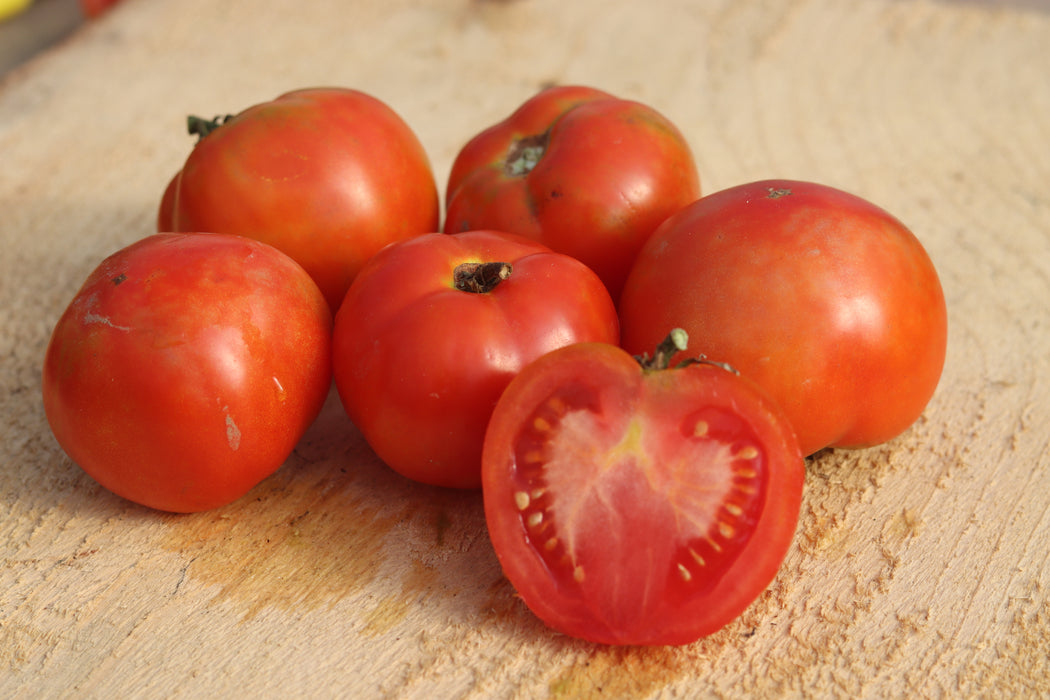 Kenearly Tomato