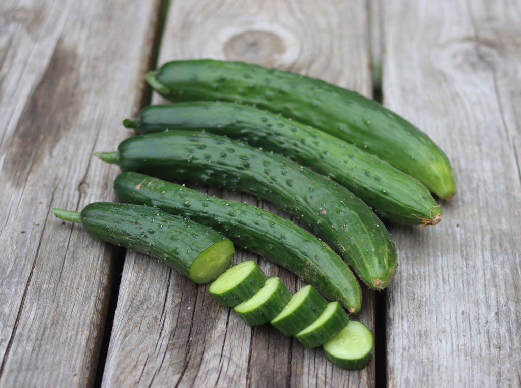The Japanese Cucumber #ACAinJapan — A Certain Aesthetic
